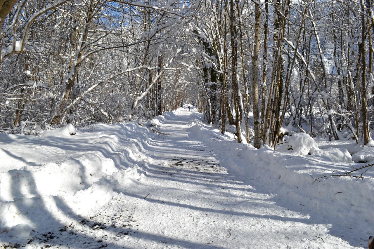 La Cle Des Bois Panzió Le Bourg-dʼOisans Kültér fotó